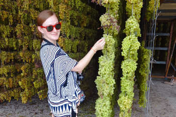 China Silk Road Tour