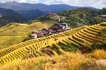 Longji Rice Terraces
