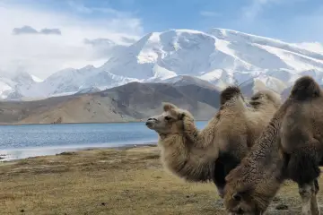 Xinjiang Silk Road Tour