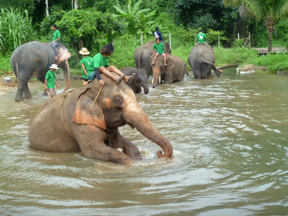 Baan Chang Elephant Park