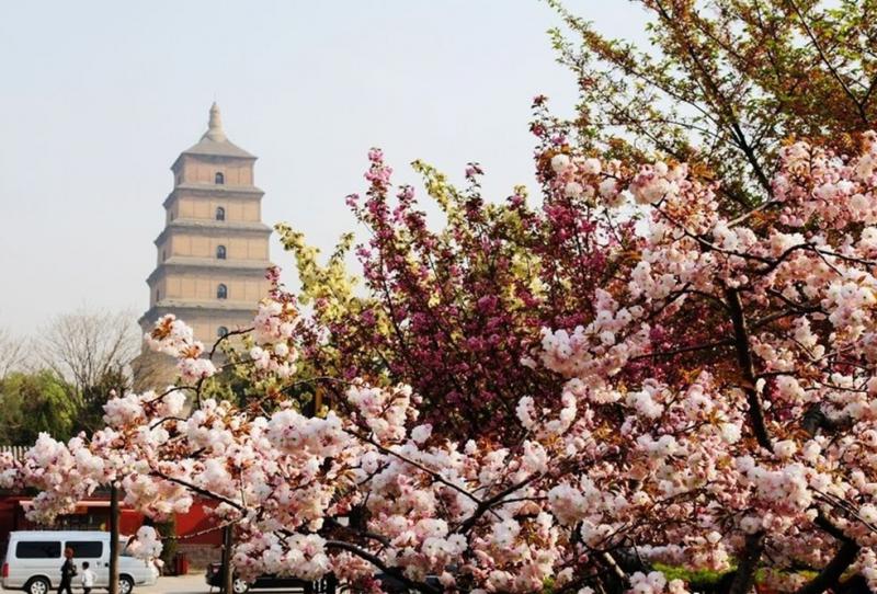 Xian in Spring