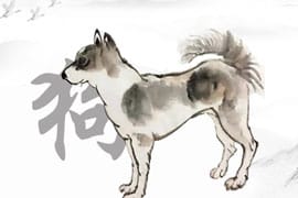 Chinese Zodiac Dog