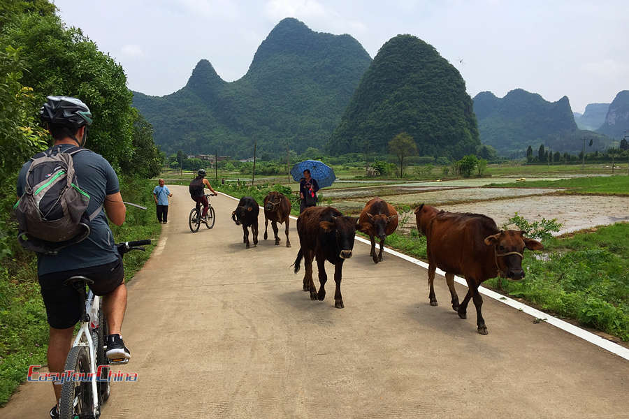 Biking in Guilin