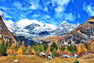 Chengdu Panda Tour with Mt. Siguniang