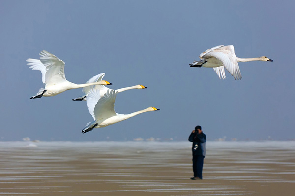 Qinghai Lake,China