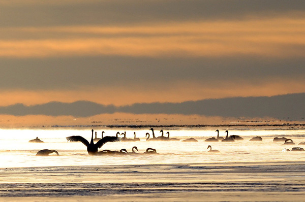 Qinghai Lake,China