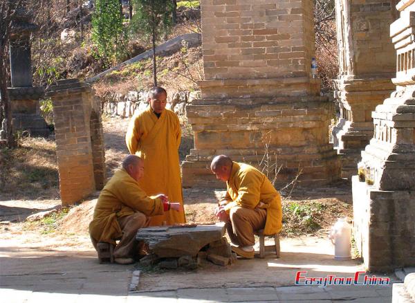 Shaolin Temple monks