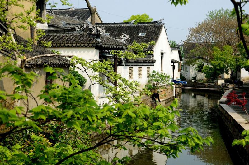 Wuzhen Water Town in Spring